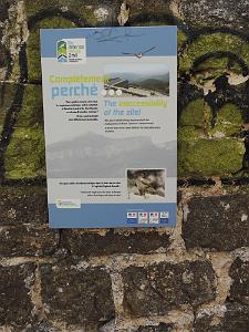 CAUME-DSCN0657
