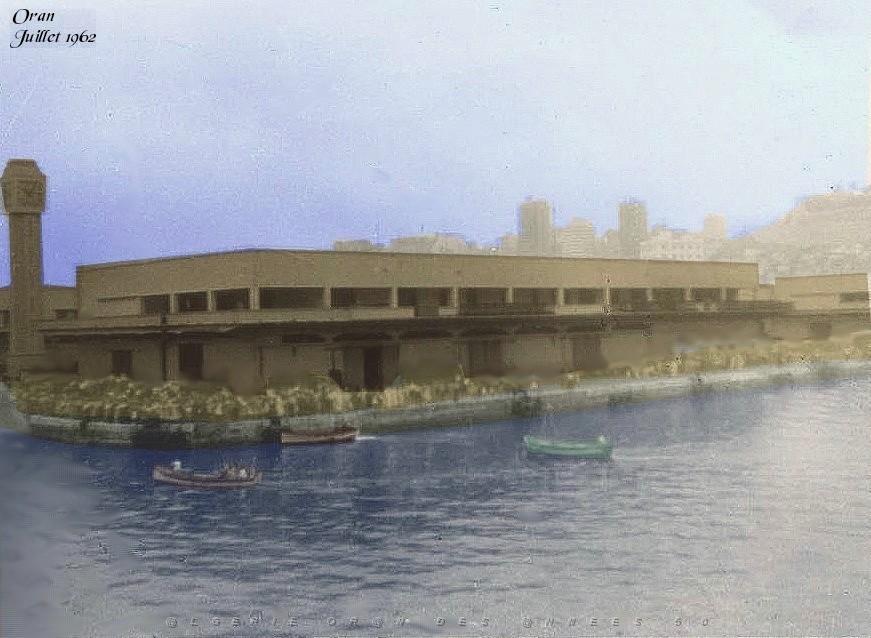 L-ATTENTE-DE-L-EXODE-JUILLET-1962-PORT-D-ORAN.jpg