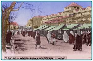 tlemcen1