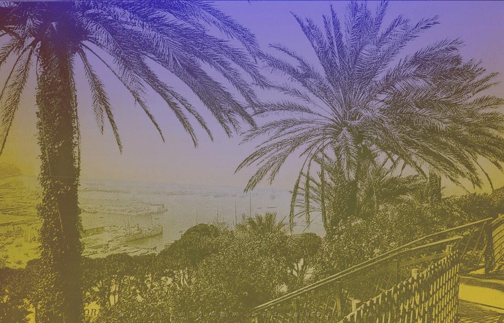 oran2.jpg