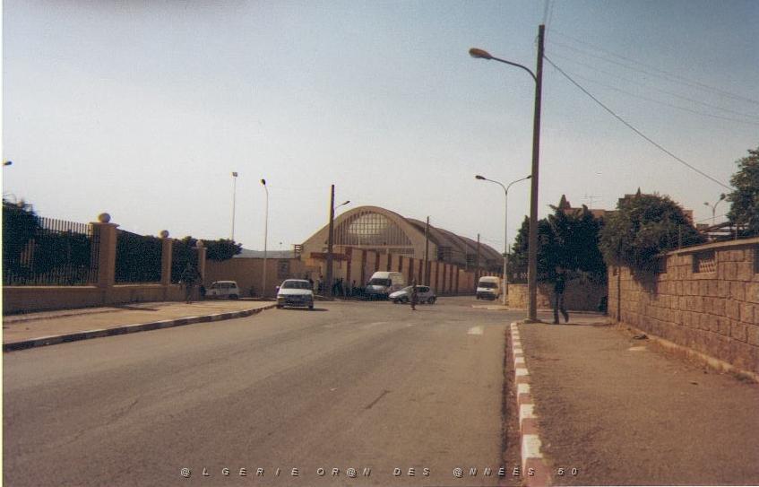 02.jpg