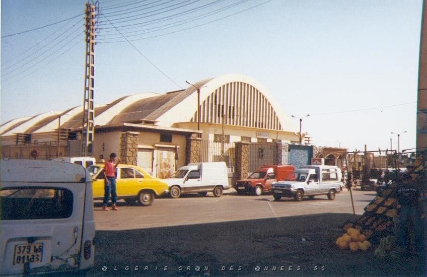 05.jpg