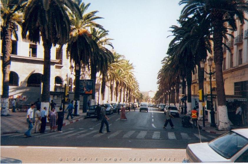05.jpg