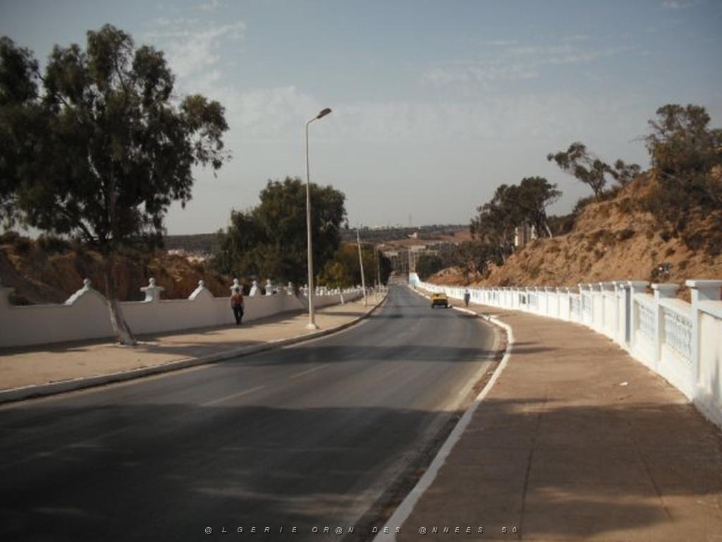 DSCF0046.jpg