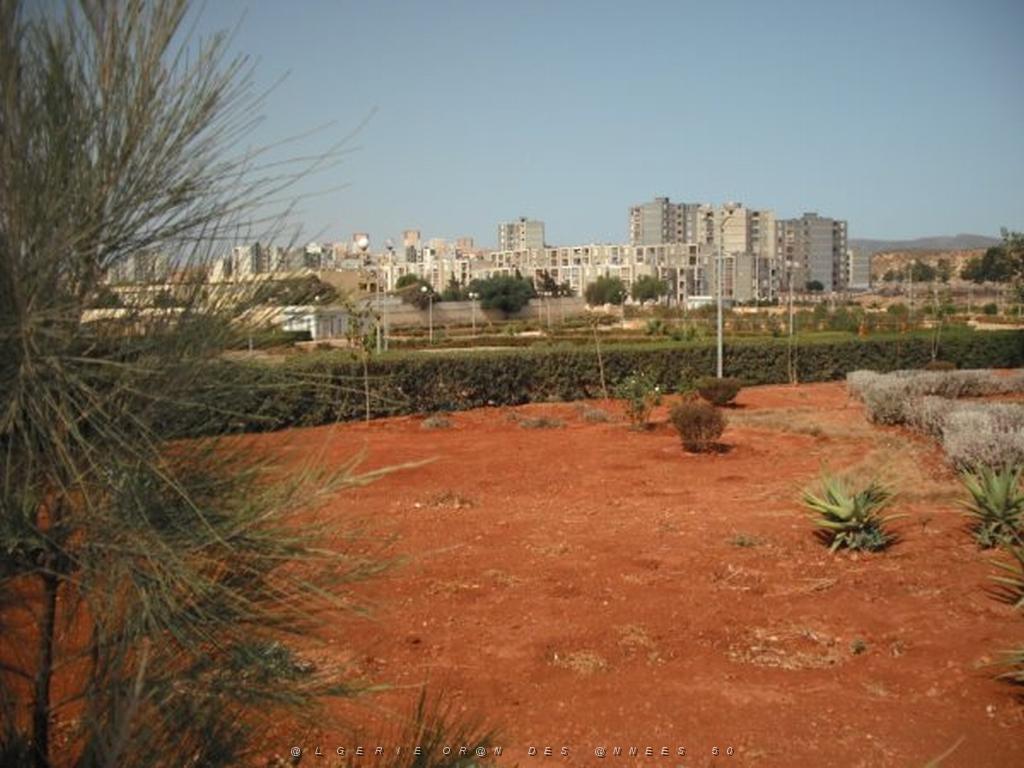 DSCF0066.jpg