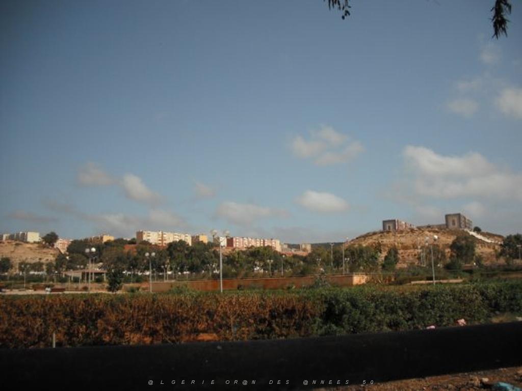 DSCF0072.jpg