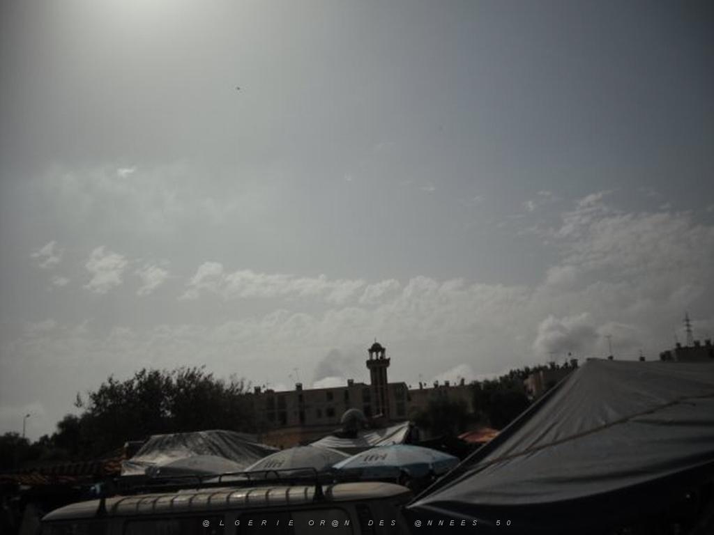 DSCF0073.jpg