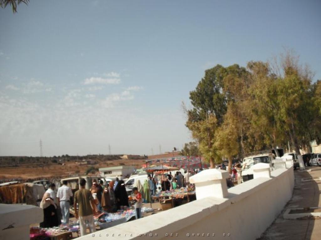 DSCF0076.jpg