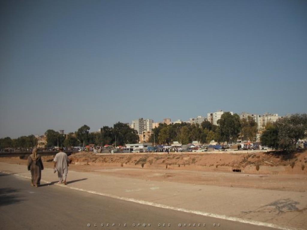 DSCF0090.jpg