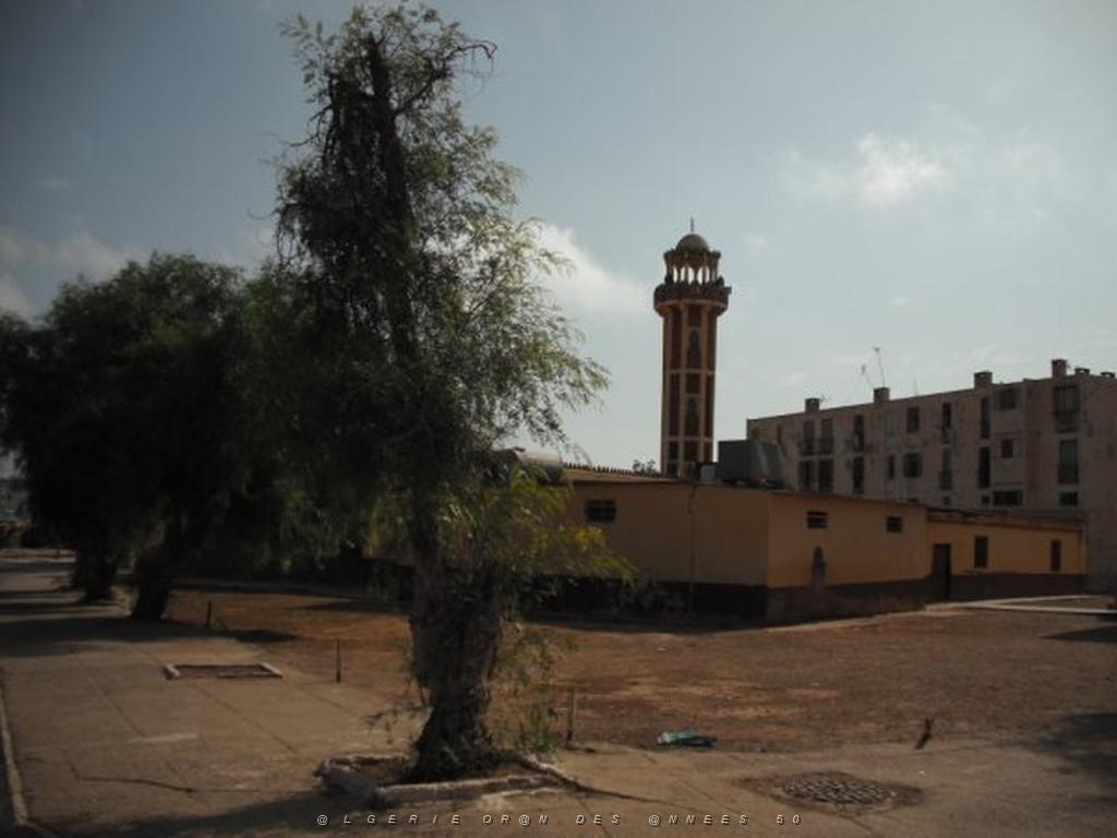 DSCF0091.jpg