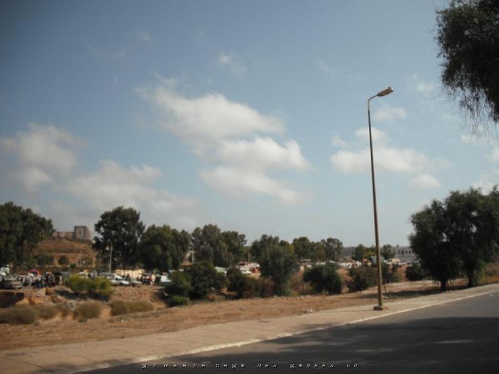 DSCF0093.jpg