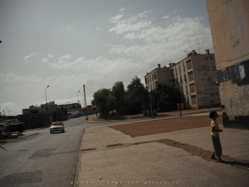 DSCF0100.jpg
