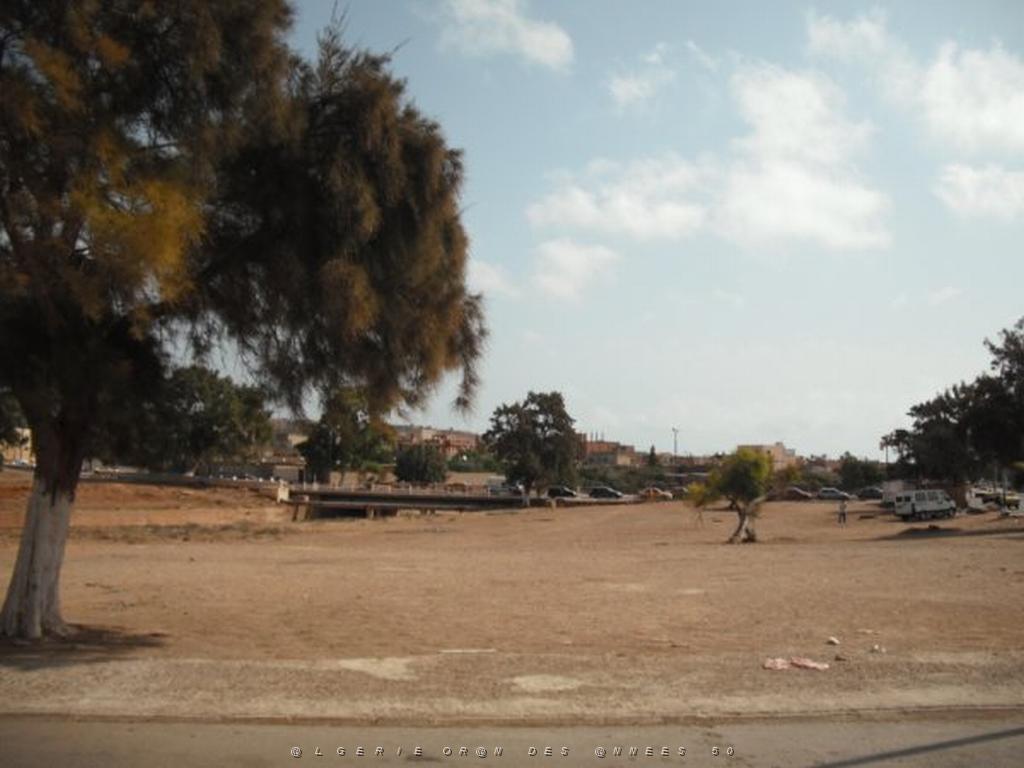 DSCF0101.jpg