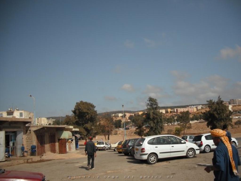 DSCF0110.jpg