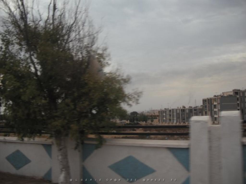 DSCF0901.jpg