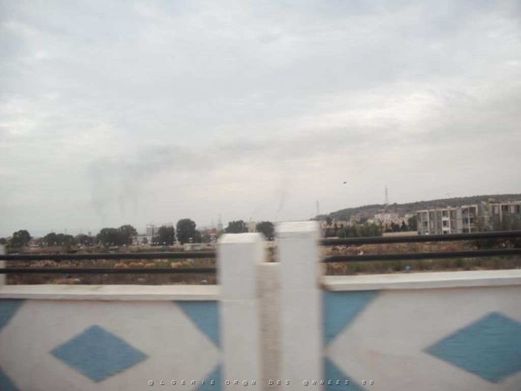 DSCF0902.jpg