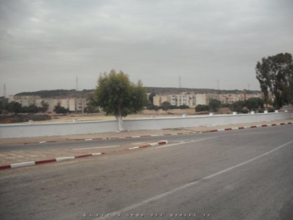 DSCF0904.jpg