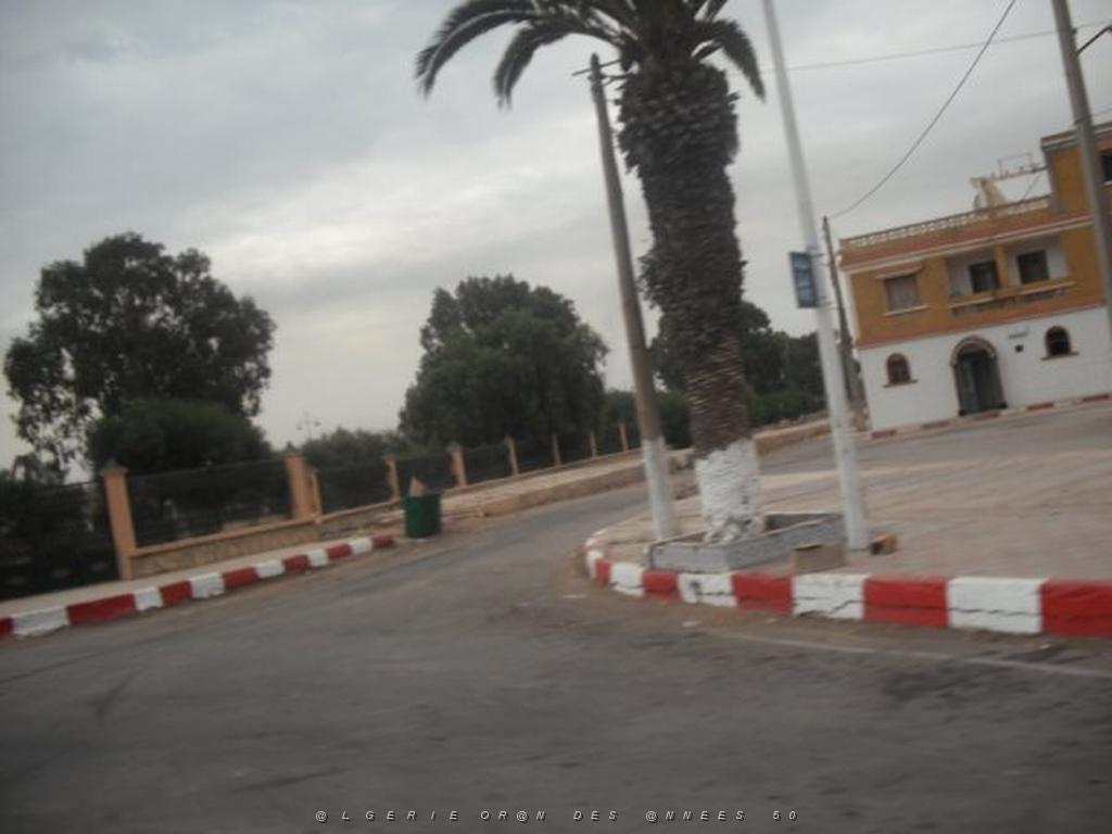 DSCF0910.jpg