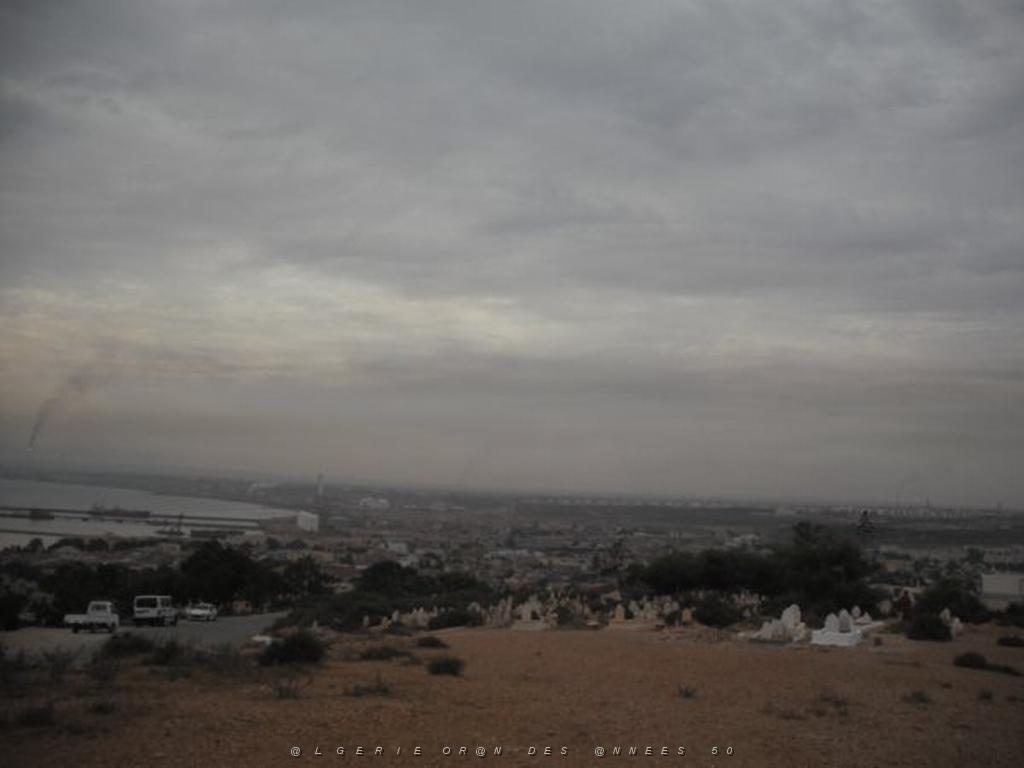 DSCF0936.jpg