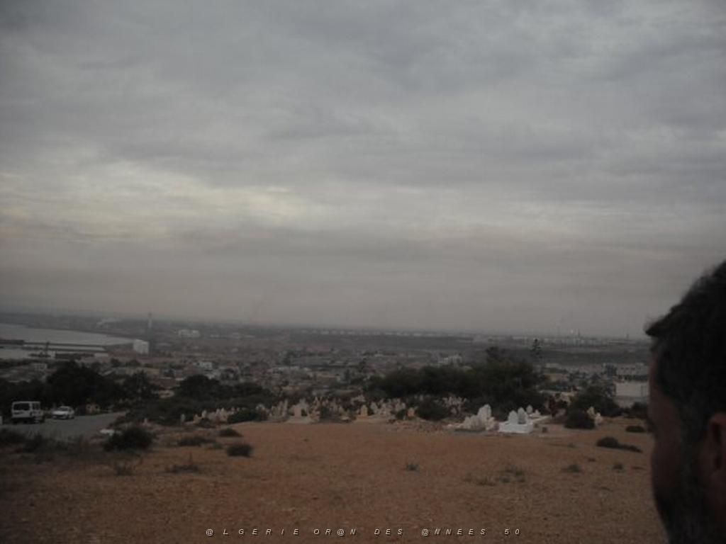 DSCF0937.jpg