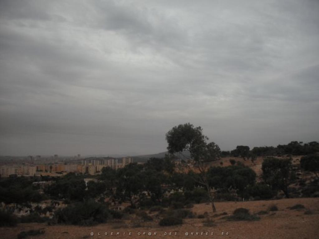 DSCF0940.jpg