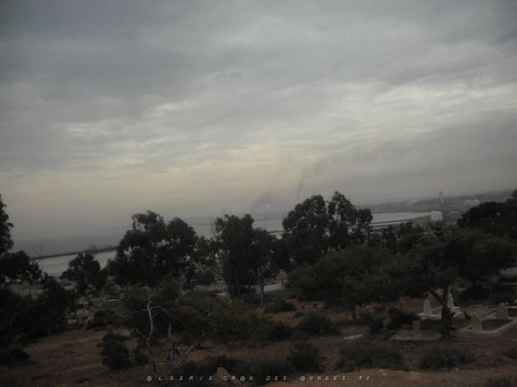 DSCF0944.jpg