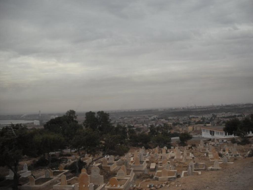 DSCF0945.jpg