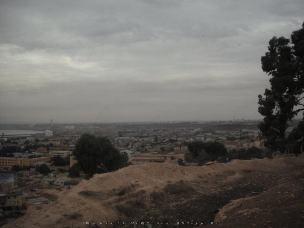 DSCF0952.jpg