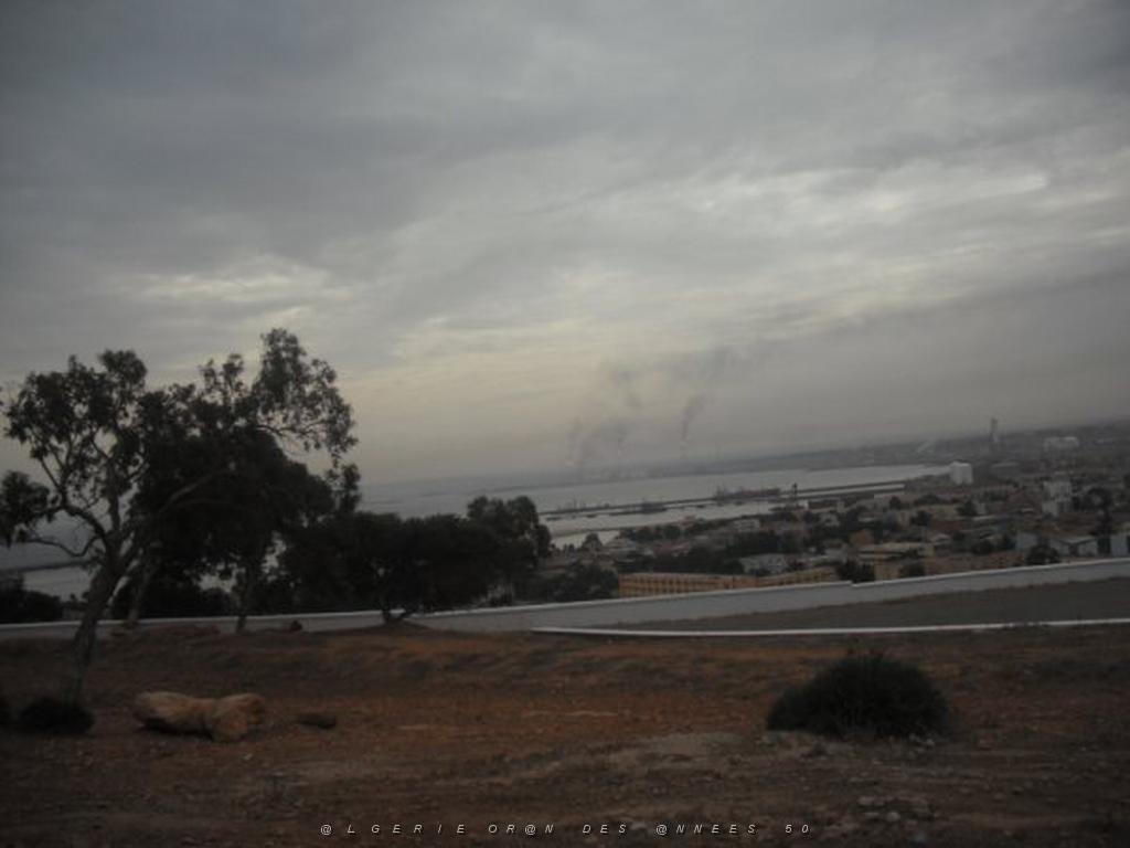 DSCF0955.jpg