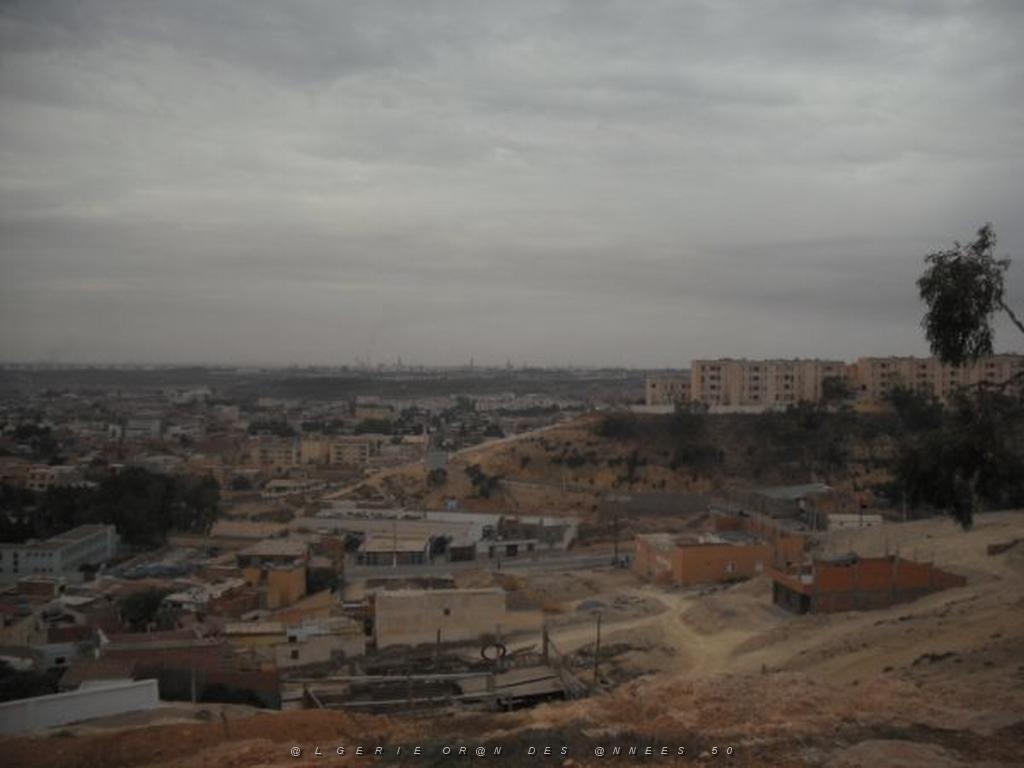 DSCF0959.jpg
