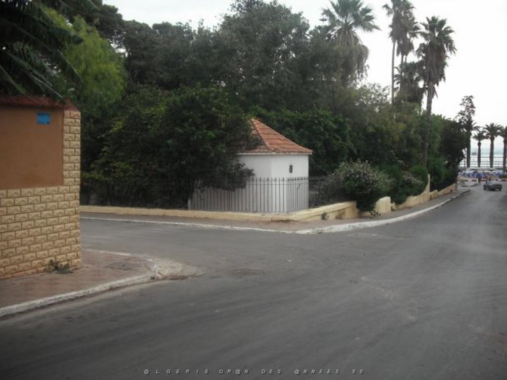 DSCF0971.jpg