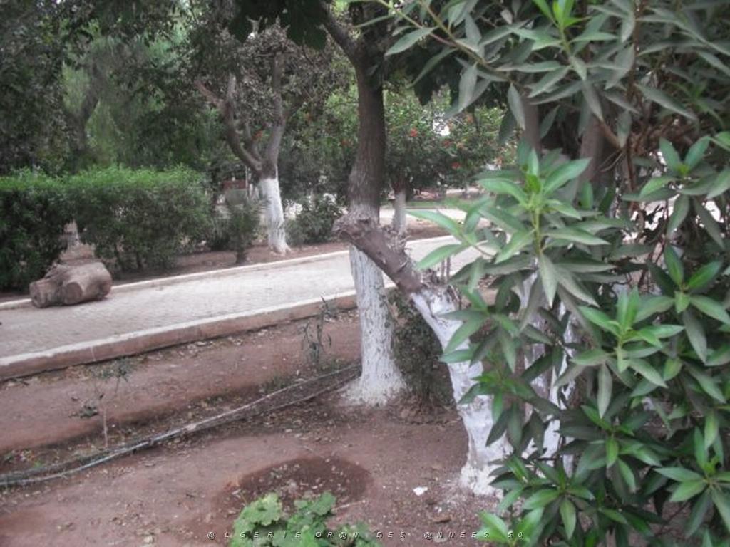 DSCF0974.jpg