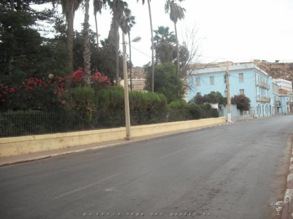 DSCF0977.jpg