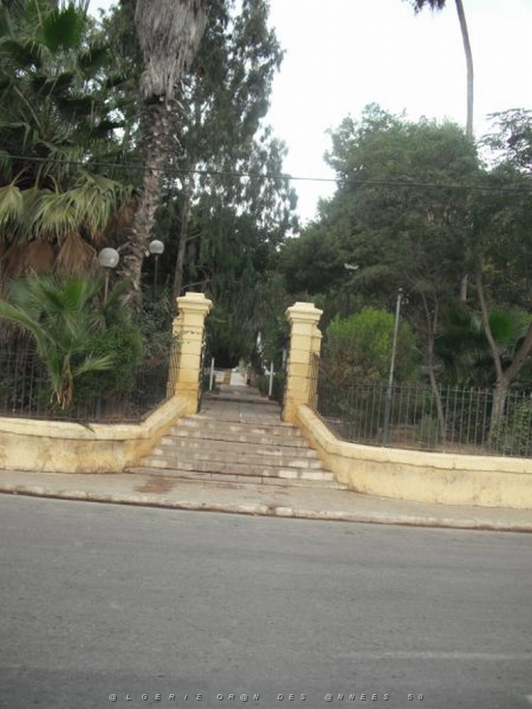 DSCF0978.jpg