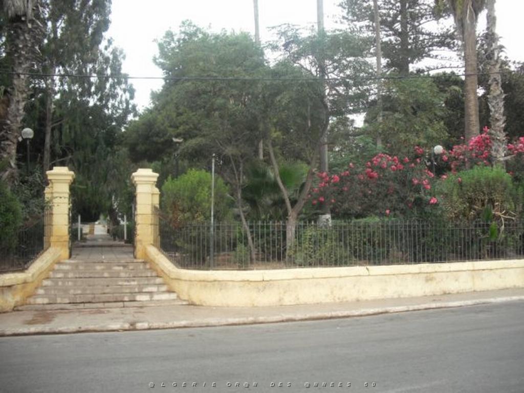 DSCF0979.jpg