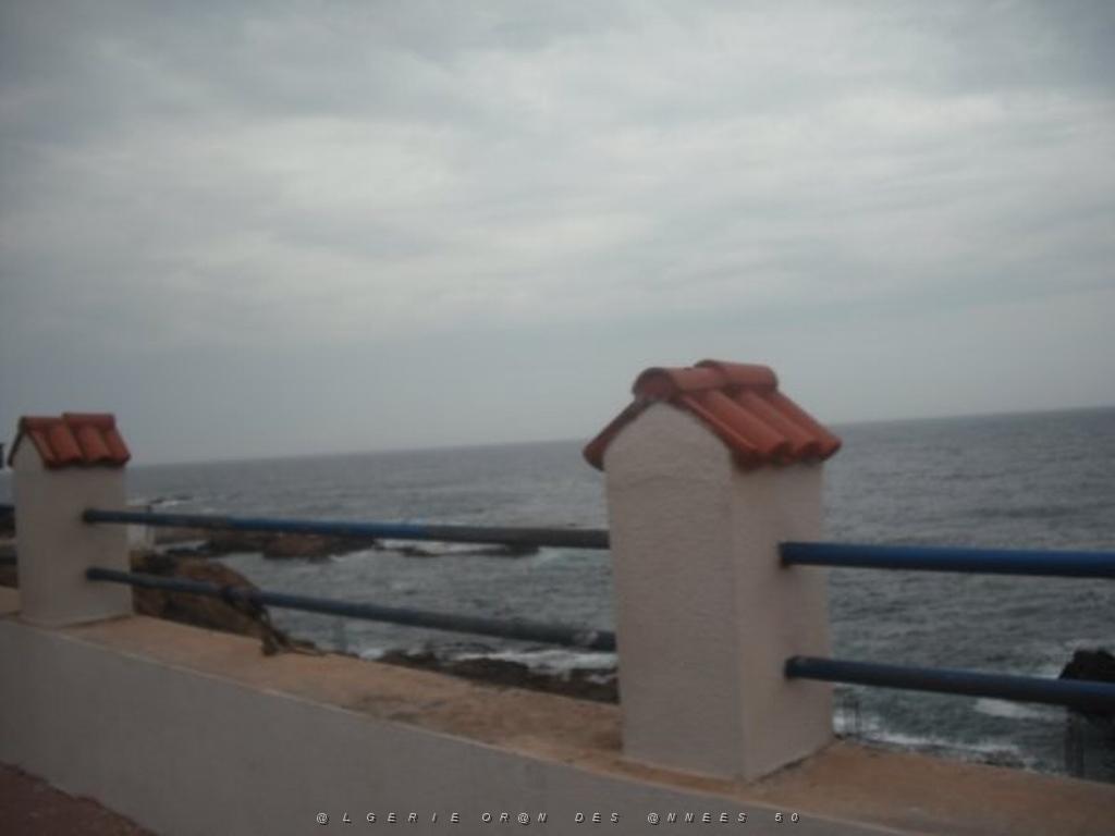 DSCF1007.jpg
