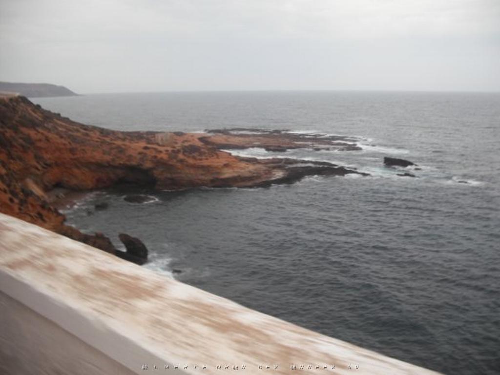 DSCF1010.jpg