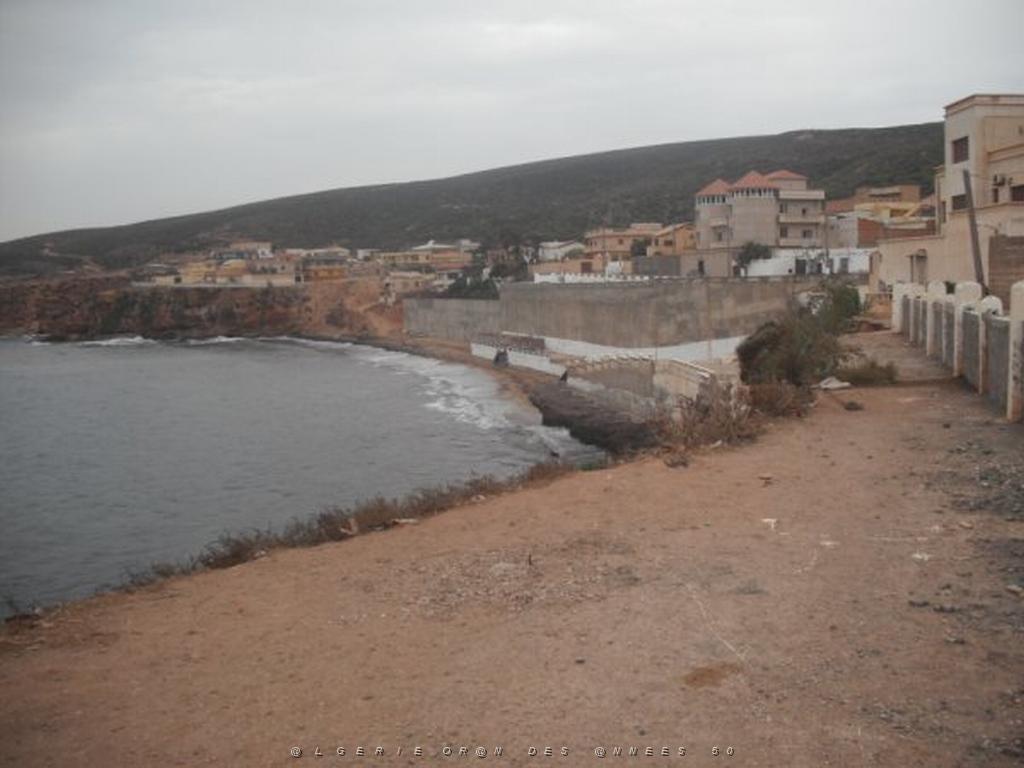 DSCF1028.jpg