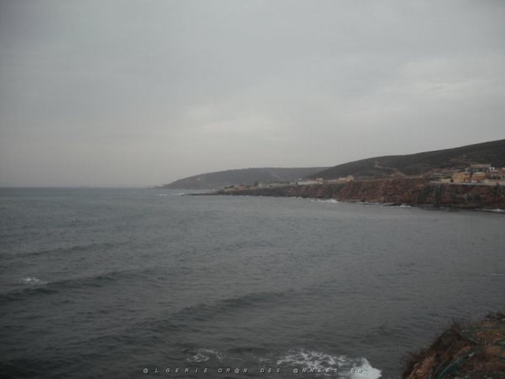 DSCF1030.jpg