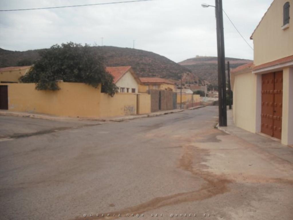 DSCF1033.jpg