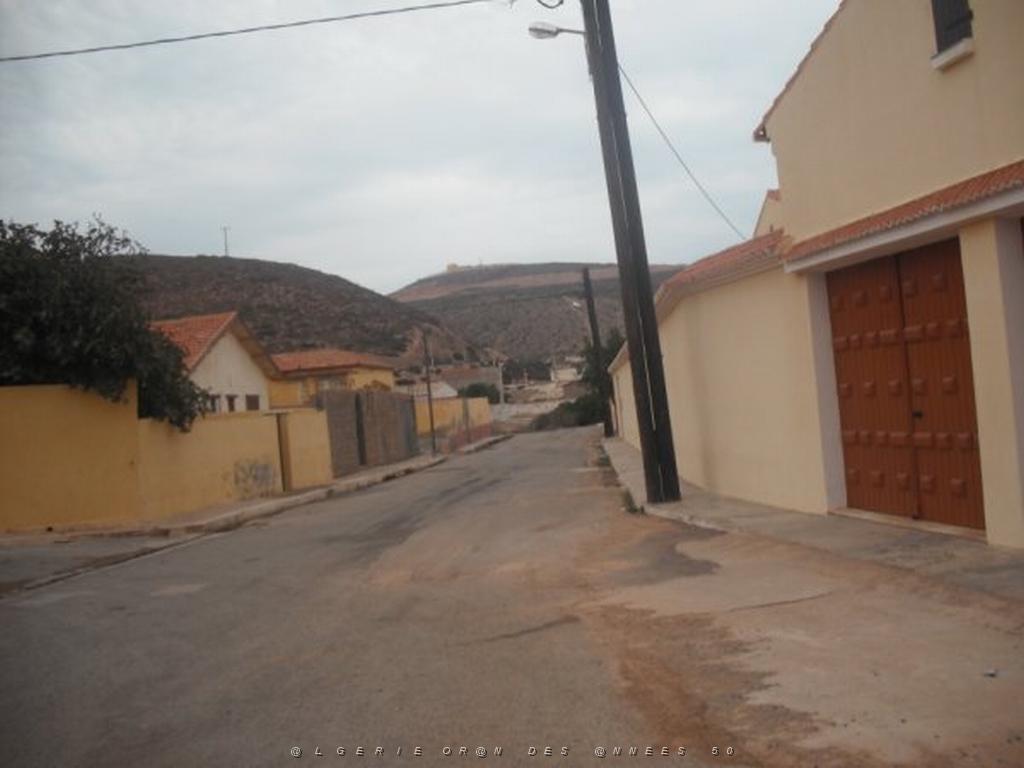 DSCF1034.jpg