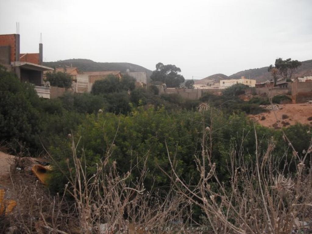 DSCF1035.jpg
