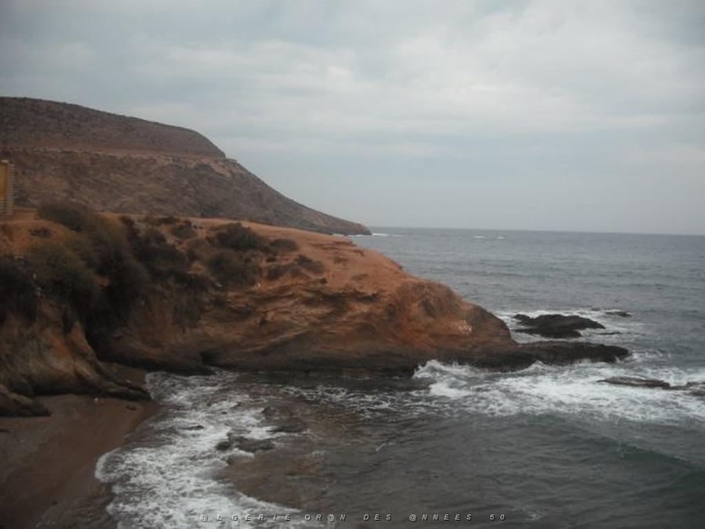 DSCF1040.jpg