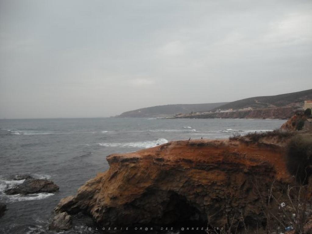 DSCF1042.jpg