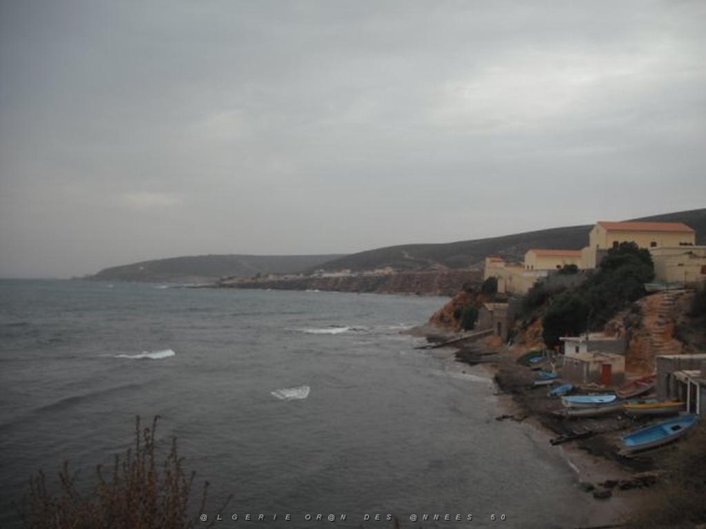 DSCF1043.jpg