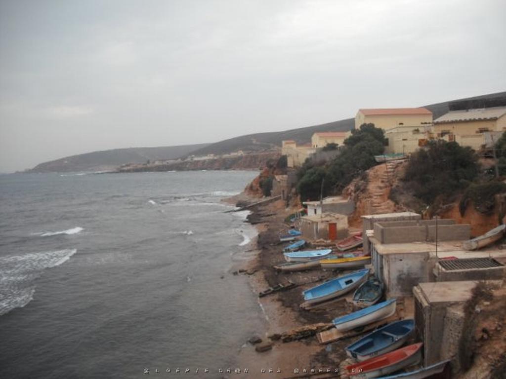 DSCF1046.jpg