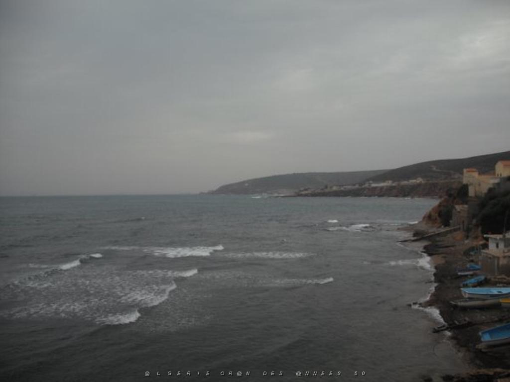 DSCF1047.jpg