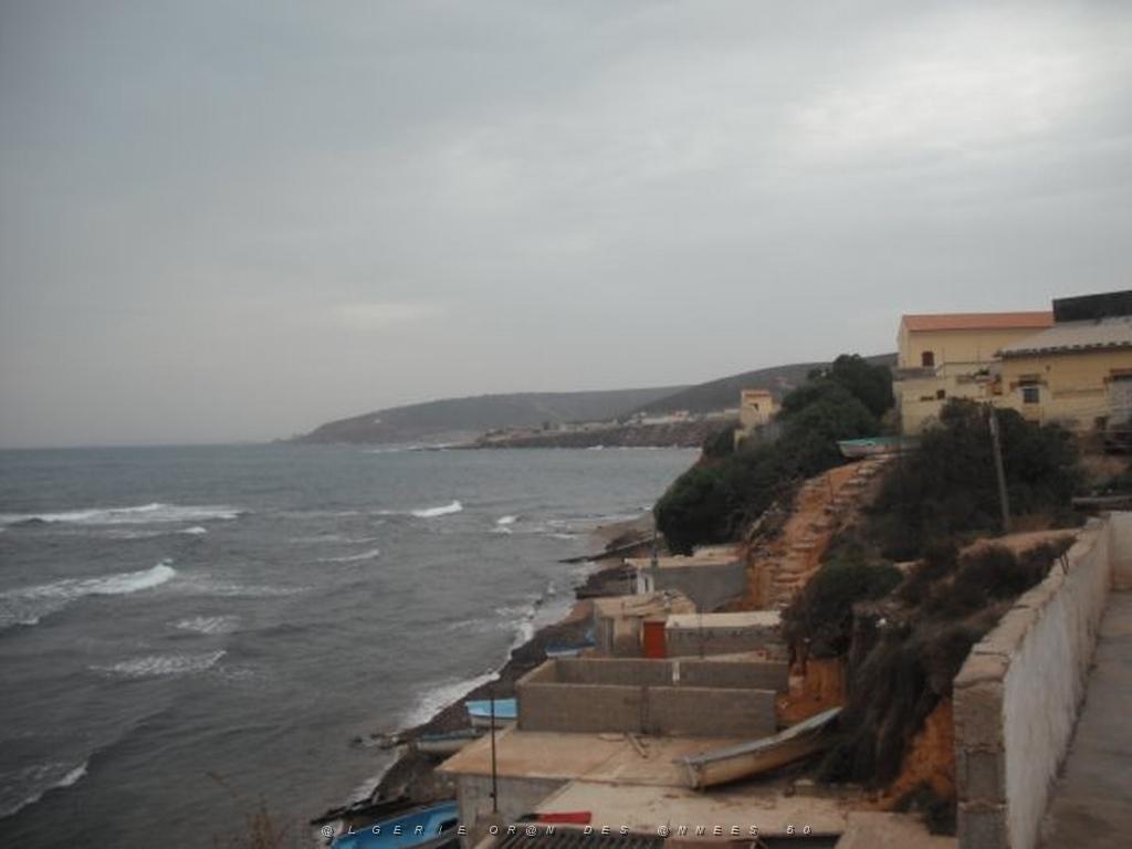 DSCF1050.jpg