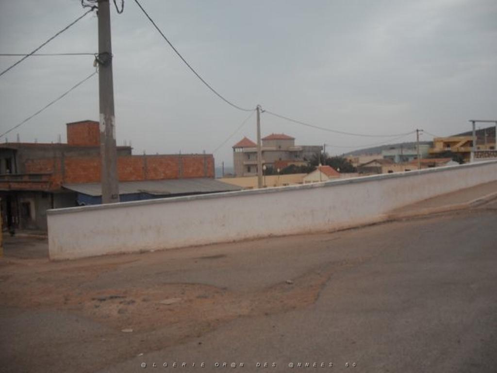 DSCF1056.jpg