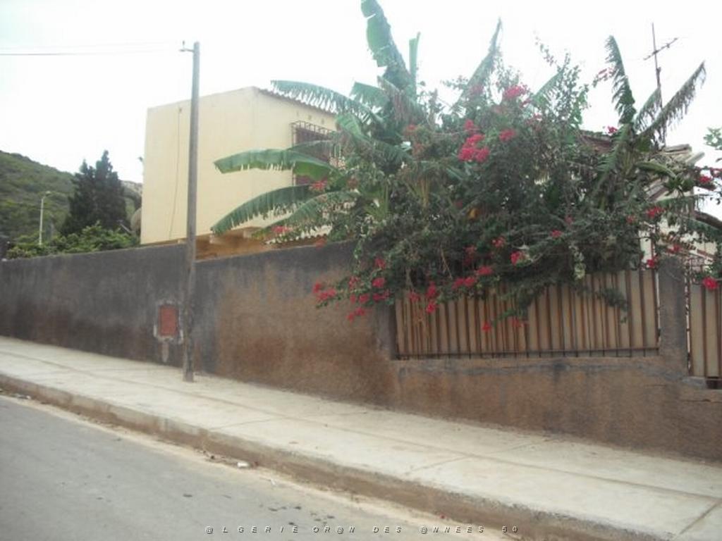 DSCF1069.jpg